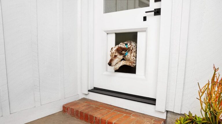 Esta puerta inteligente para perros de $ 3K permitirá que sus mascotas salgan cuando lo deseen