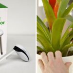 El sensor WiFi para plantas monitorea tus plantas de interior y te dice qué hacer